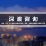 深渡咨询ico