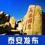 泰安发布ico