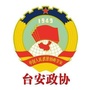 台安政协ico