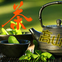 台湾高山乌龙茶ico