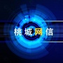 桃城网信ico