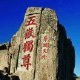 泰安教育ico