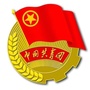 青春泰安ico