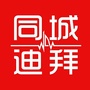 同城迪拜ico