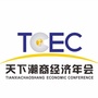 天下潮商经济年会ico