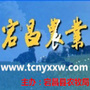 陇南宕昌农业ico