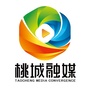 桃城融媒ico
