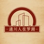 通川人在罗湖ico