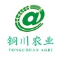 铜川农业ico