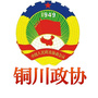 铜川政协ico