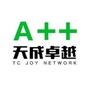 天成卓越大本营ico