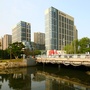 沈阳泰和龙庭ico