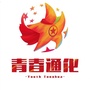 通化共青团ico