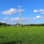 天河有机农场ico