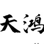 天鸿在湖州ico