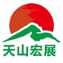 天山宏展ico