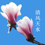 清风天水ico