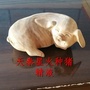天泰星火ico