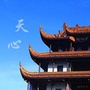 天心政情公众号ico
