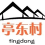 亭林镇亭东村ico