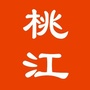 桃江大小事ico