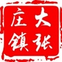 大张庄镇政府ico