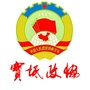 宝坻政协ico