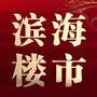 滨海楼市ico
