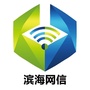 滨海网信ico