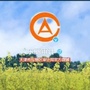 东丽审计ico