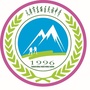 天津东丽民族中学ico