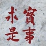 天津市东丽区委党校ico