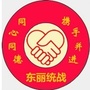 东丽统战ico