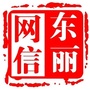 网信东丽ico