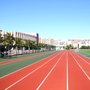 天津港保税区空港学校ico