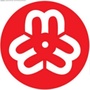 天津市河东区妇联ico