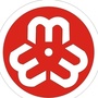 宁河妇联ico