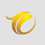 铜陵之声ico