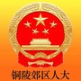 铜陵郊区人大ico