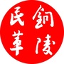 铜陵民革ico