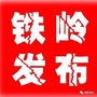 铁岭发布ico