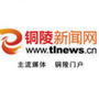 铜陵新闻网ico