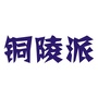 铜陵派ico