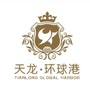 天龙环球港ico