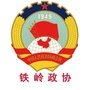 铁岭政协ico