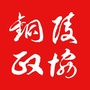 铜陵政协ico