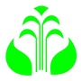 浙江天目山ico