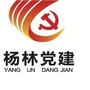 杨林党建ico