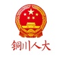 铜川人大ico