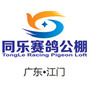 广东江门同乐公棚ico